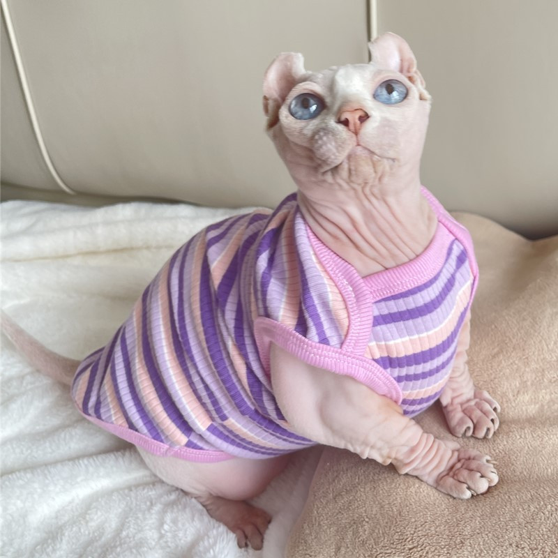 Sfinksa kaķu drēbes kokvilnas krekls purpursarkanā krāsā mājdzīvniekam bez matiem kaķiem Sweet supenders Sphynx Vest mājdzīvnieku mētelis pavasara vasaras virsdrēbēm