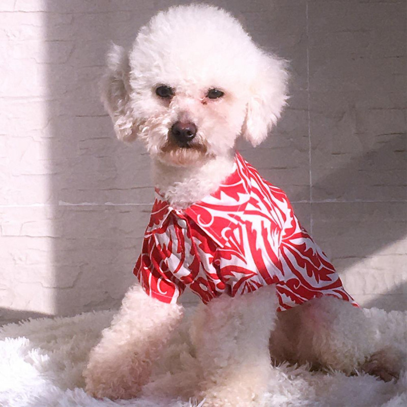 Stilīgs mājdzīvnieku apģērbs, kas dekorē mājdzīvnieku krekls, burvīgs elpojošs vasaras apģērbs Vēss pludmales stila suņa kaķa krekls