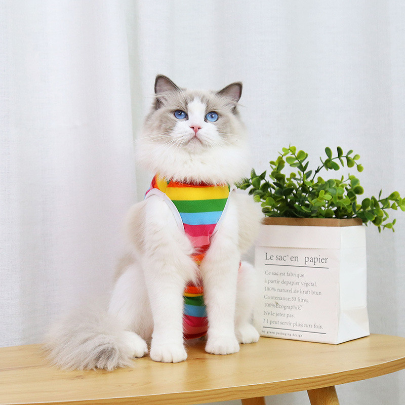 Kisállat macska rehabilitációs ruhák műtét utáni ruhák aranyos szivárványcsíkok gyümölcsök kisállat kölykök kiscicák fiziológiai ruhák