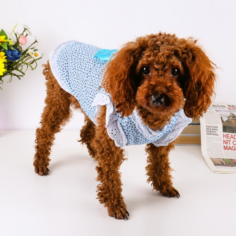 Kaķu svārki Plāni suņu svārki Pet Couple Teddy Pet svārki