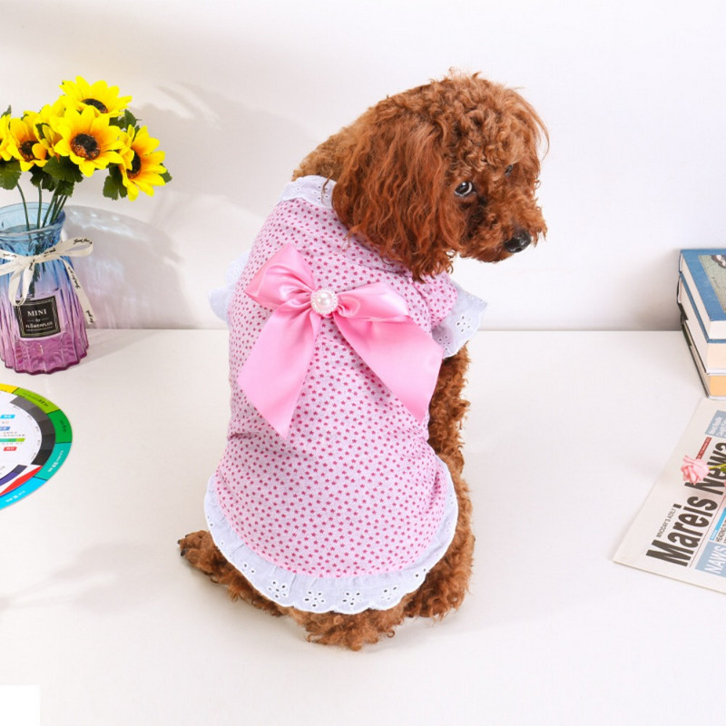 Kaķu svārki Plāni suņu svārki Pet Couple Teddy Pet svārki