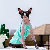 Sphnx Cat Clothing Sphinx Fresh Green Cotton Vest Mīksts Cute Bezpiedurkņu krekls Kaķēnu Mētelis elpojošs Devon Rex mīksts apģērbs