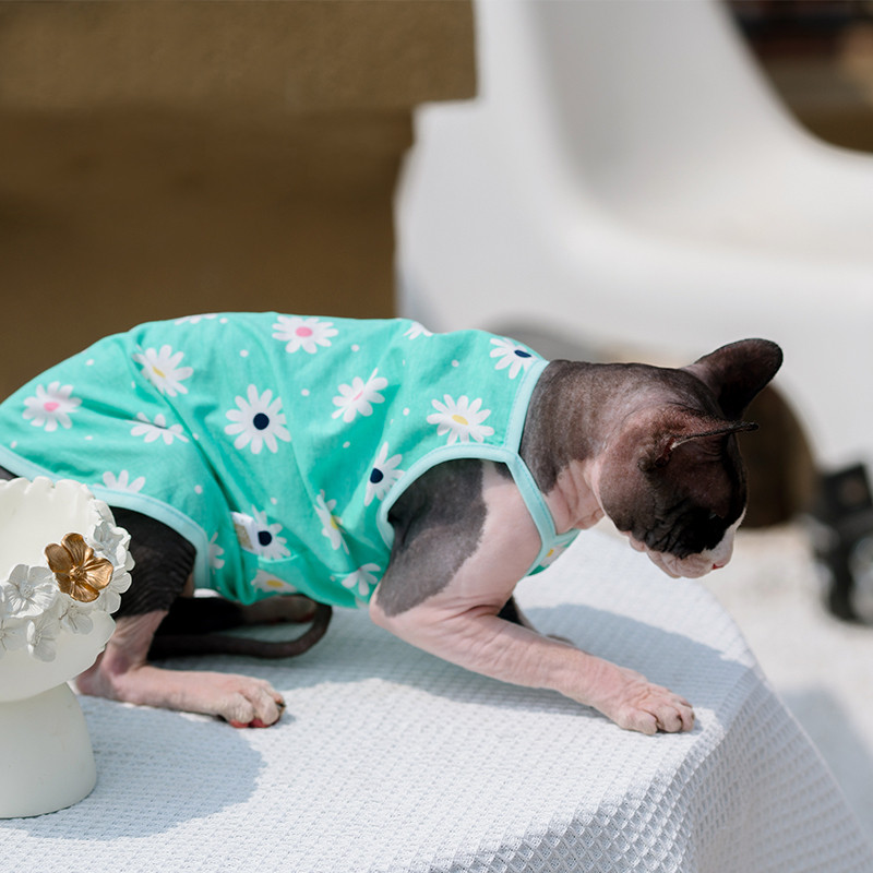 Sphnx Cat Clothing Sphinx Fresh Green Cotton Vest Mīksts Cute Bezpiedurkņu krekls Kaķēnu Mētelis elpojošs Devon Rex mīksts apģērbs