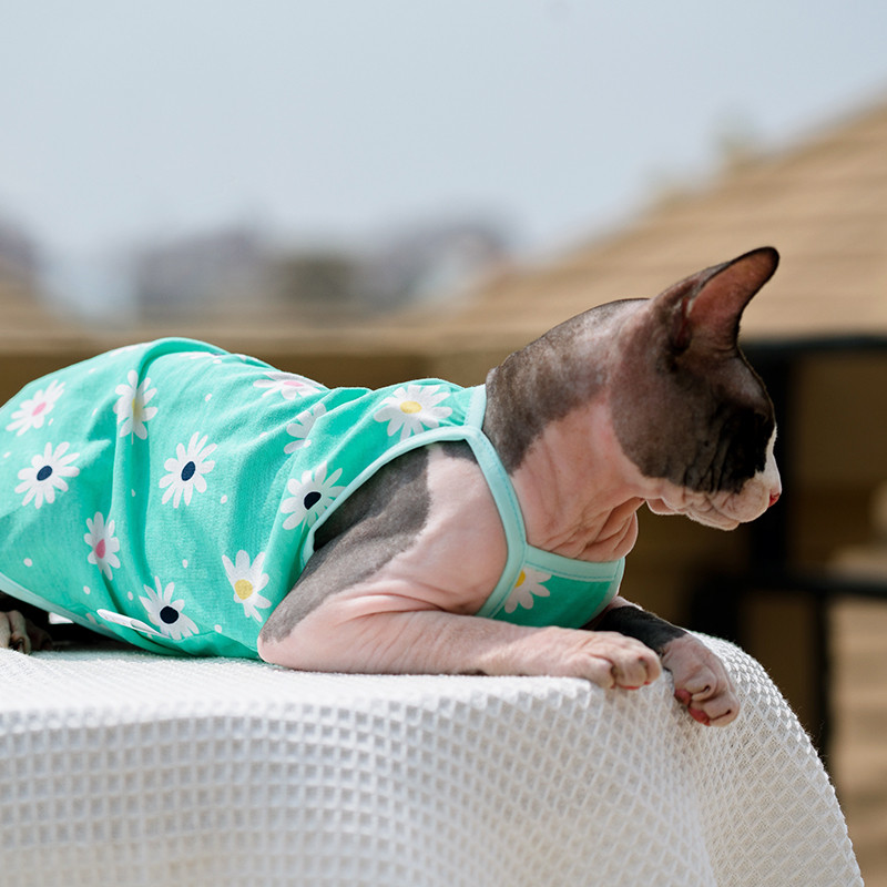 Sphnx Cat Clothing Sphinx Fresh Green Cotton Vest Mīksts Cute Bezpiedurkņu krekls Kaķēnu Mētelis elpojošs Devon Rex mīksts apģērbs