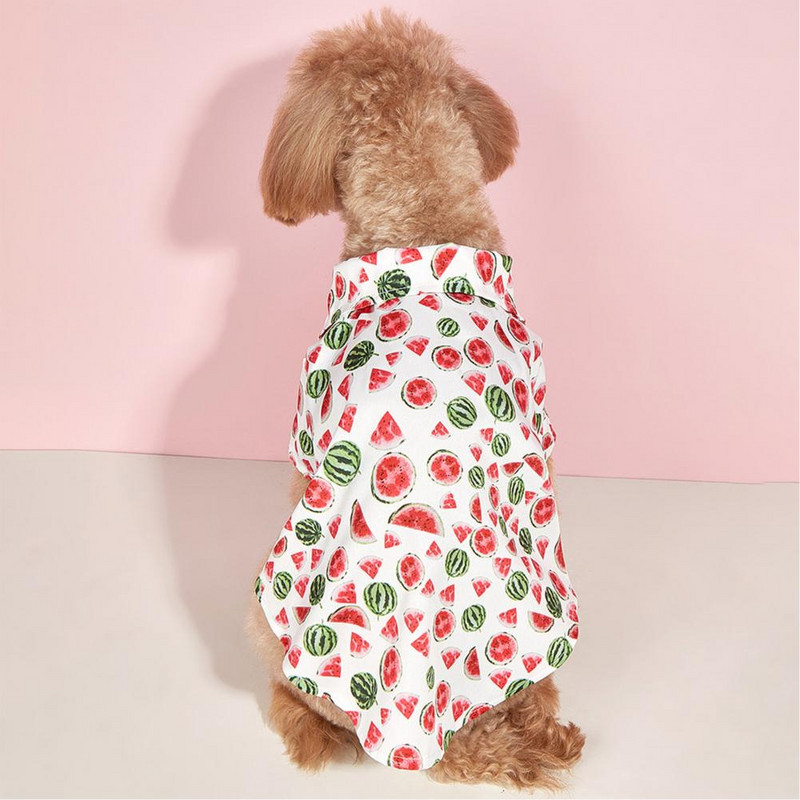 Suņa T-krekls Pogas Aizdare Atloks Apkakle Arbūzs Print Suņa krekls Vasaras mājdzīvnieks suns kaķis Divkājains blūze Mājdzīvnieku piederumi