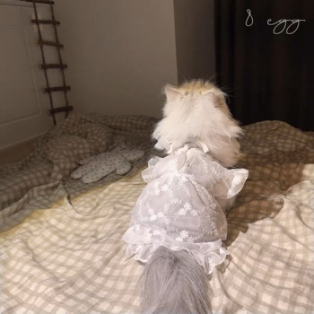 Бродирана бяла мрежеста рокля Дрехи за кучета Kawaii Елегантен сватбен костюм Облекло за малки кучета Котка Корейска мода Сладки предмети за домашни любимци