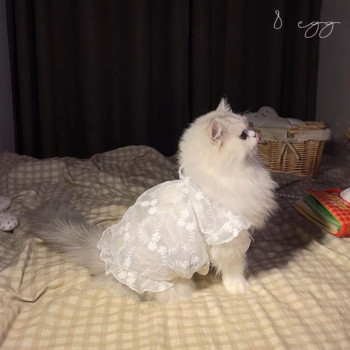 Κέντημα Λευκό Διχτυωτό Φόρεμα Ρούχα για σκύλους Kawaii Κομψή Γαμήλια Στολή Μικρά Σκυλιά Ρούχα Γάτα Κορεατικής μόδας Γλυκά είδη για κατοικίδια
