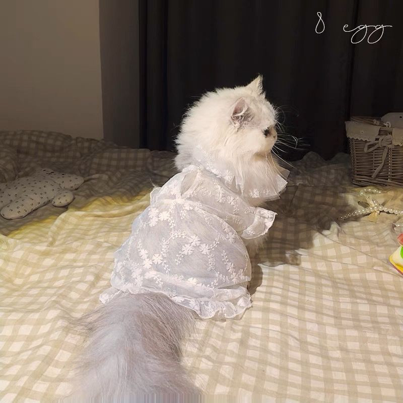 Izšuvumi Balta sieta kleita Suņu apģērbi Kawaii Eleganti kāzu kostīmi Mazi suņi Apģērbi Kaķi Korejiešu Mode Saldi mājdzīvnieku priekšmeti