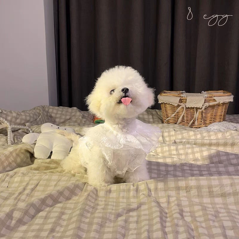 Izšuvumi Balta sieta kleita Suņu apģērbi Kawaii Eleganti kāzu kostīmi Mazi suņi Apģērbi Kaķi Korejiešu Mode Saldi mājdzīvnieku priekšmeti