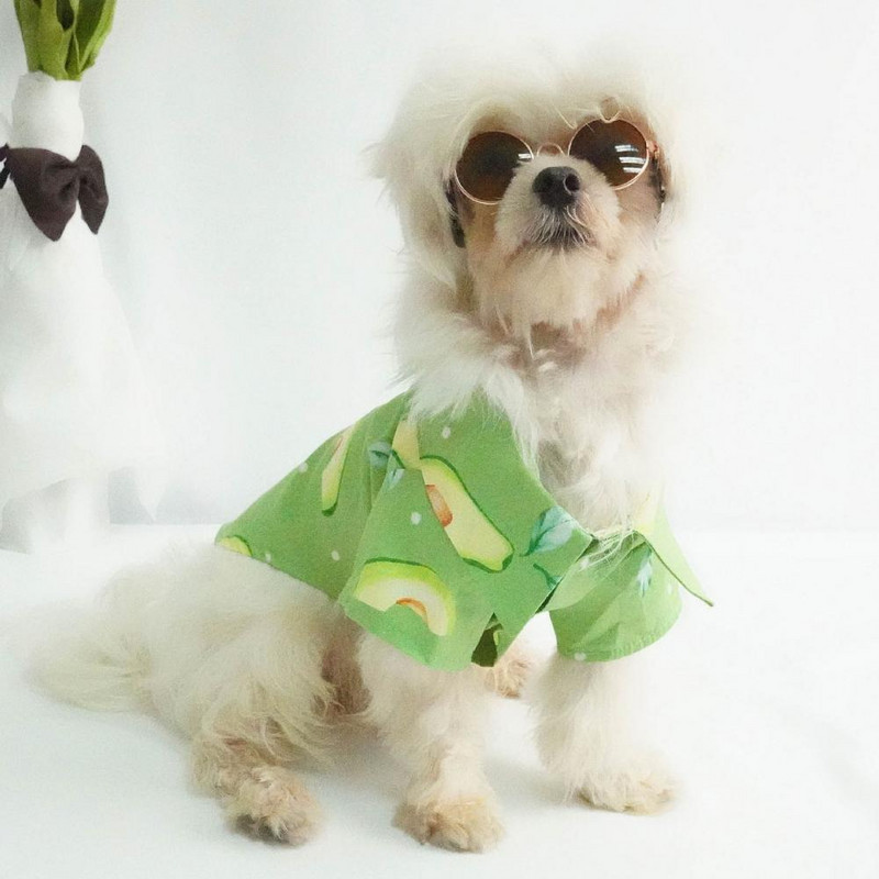 Jaunums mājdzīvnieku jaciņa, cieši pieguļoša, viegli valkājama, burvīga mājdzīvnieku suņu jaka ar īsām piedurknēm jaciņa pidžama