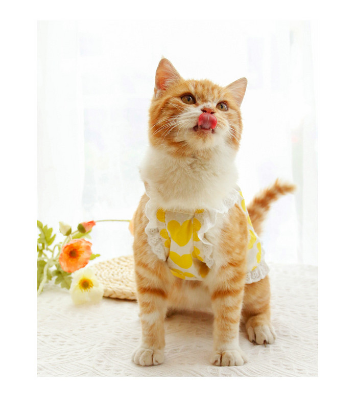 Suņu apģērbi Vasaras suņu kleita maziem un vidējiem suņiem Kaķu mājdzīvnieku veste Pavasara mājdzīvnieku apģērbi Suņu kostīmu piederumi Salda svārku kaķu kleita