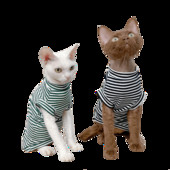 Conis Sphynx Kitten Apģērbi Vasaras Plānas Apmatojuma Kaķu Apģērbi Sfinksas Apģērbi Kokvilnas Elastīga veste Devon Rex Apģērbi