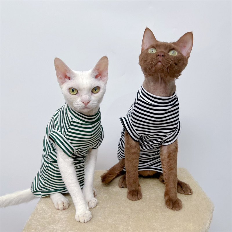 Conis Sphynx Kitten Apģērbi Vasaras Plānas Apmatojuma Kaķu Apģērbi Sfinksas Apģērbi Kokvilnas Elastīga veste Devon Rex Apģērbi