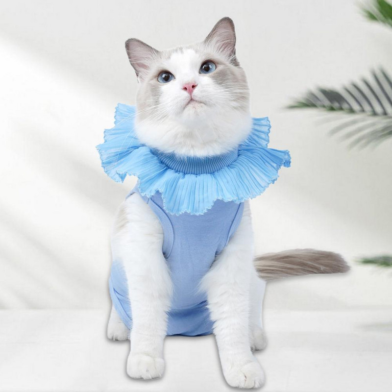 Mājdzīvnieku sterilizācijas uzvalks, mežģīņu izgriezums, mājdzīvnieku kucēns, kaķis, rehabilitācija, aizsargapģērbs, mājdzīvnieku piederumi