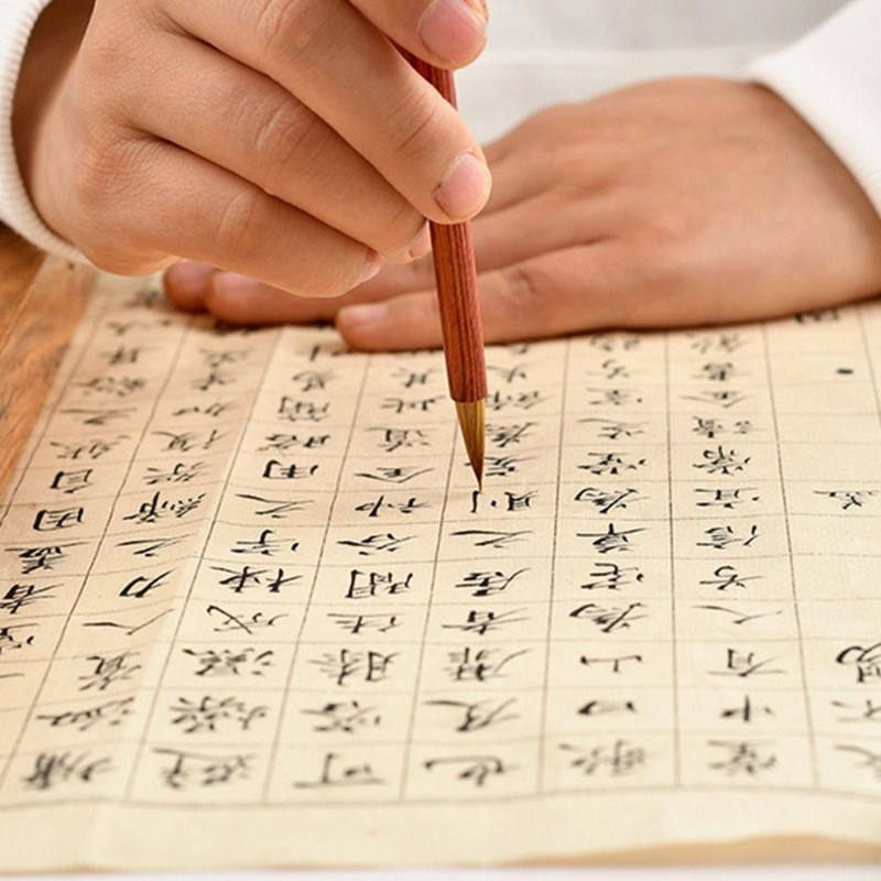 Kontūrų teptukai Dailės teptukų rinkinys Kinų tapyba vilko plaukai maži šepečiai pradedantiesiems kontūrų piešimas teptuku raštinės reikmenys