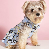 Modes mājdzīvnieku kleita, kas nav stingra, dinamiskas krāsas mājdzīvnieku piederumi Ērts kucēnu apģērbs Etniska raksta svārki