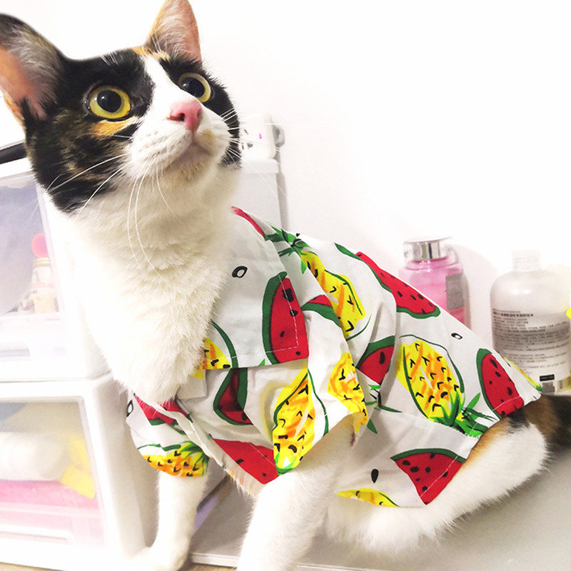 Plāns vasaras mājdzīvnieks plāns krekls radošums augļu apdruka Mazi vidēji suņi brīvā laika mētelis Teddy Pomerānijas kucēns kaķis Mājas mājdzīvnieku piederumi