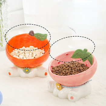 Κεραμικό μπολ φρούτων γάτας Ανυψωμένο μπολ με τροφή για ζώα συντροφιάς Μπολ με νερό μεγαλωμένα μικρά σκυλιά με κλίση Τροφές φαγητού για κουτάβια Αξεσουάρ για γάτες