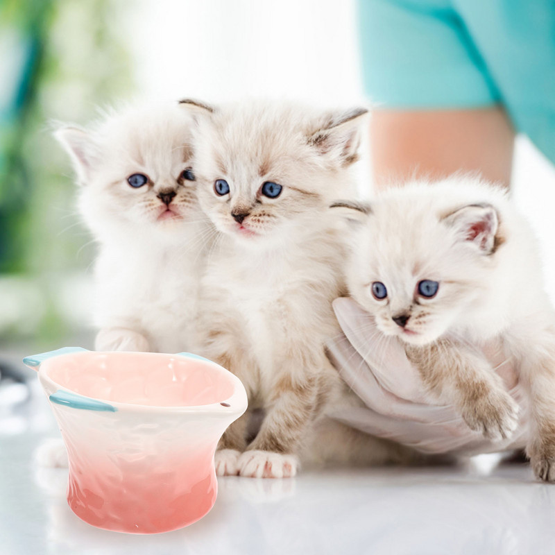 Kaķa bļoda Mājdzīvnieku padeves trauks Suns Kārums Bļodas Šķīvs Barošana Ēšana Keramikas Paaugstināti trauki Kaķēns Dekoratīvi Radoši Paaugstināts Ūdens