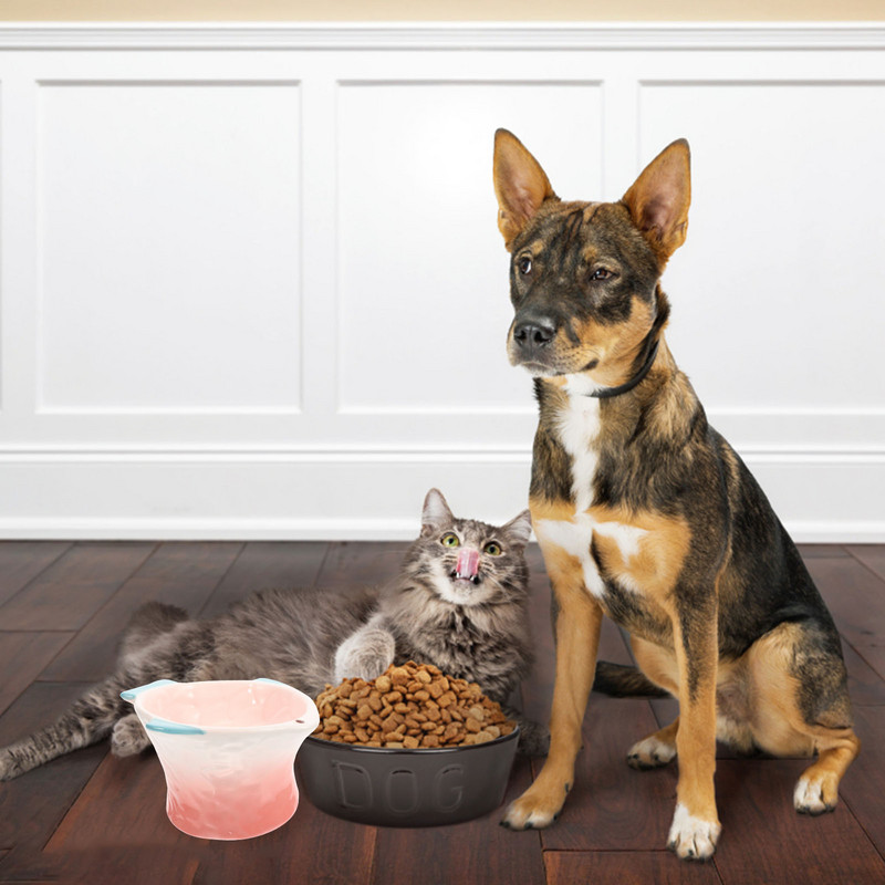 Kaķa bļoda Mājdzīvnieku padeves trauks Suns Kārums Bļodas Šķīvs Barošana Ēšana Keramikas Paaugstināti trauki Kaķēns Dekoratīvi Radoši Paaugstināts Ūdens