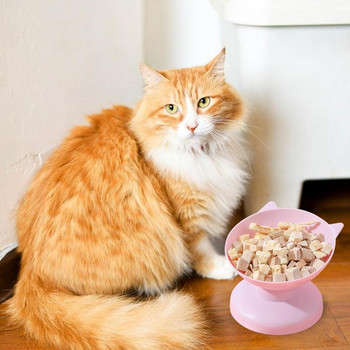 Αντιολισθητικό μπολ για γάτες Νερό τροφοδοσίας για σκύλους Ανυψωμένα μπολ για κατοικίδια Πλαστικό δοχείο τροφής με βάση για κουτάβια μπολ τροφοδοσίας Προμήθειες για κατοικίδια