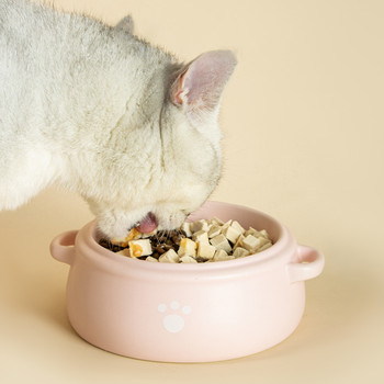 Γάτες Κεραμικό μπολ παγωμένος τροφοδότης νερού για κατοικίδια Κουτάβια σκυλιά που ταΐζουν μπολ λεκάνης φαγητού