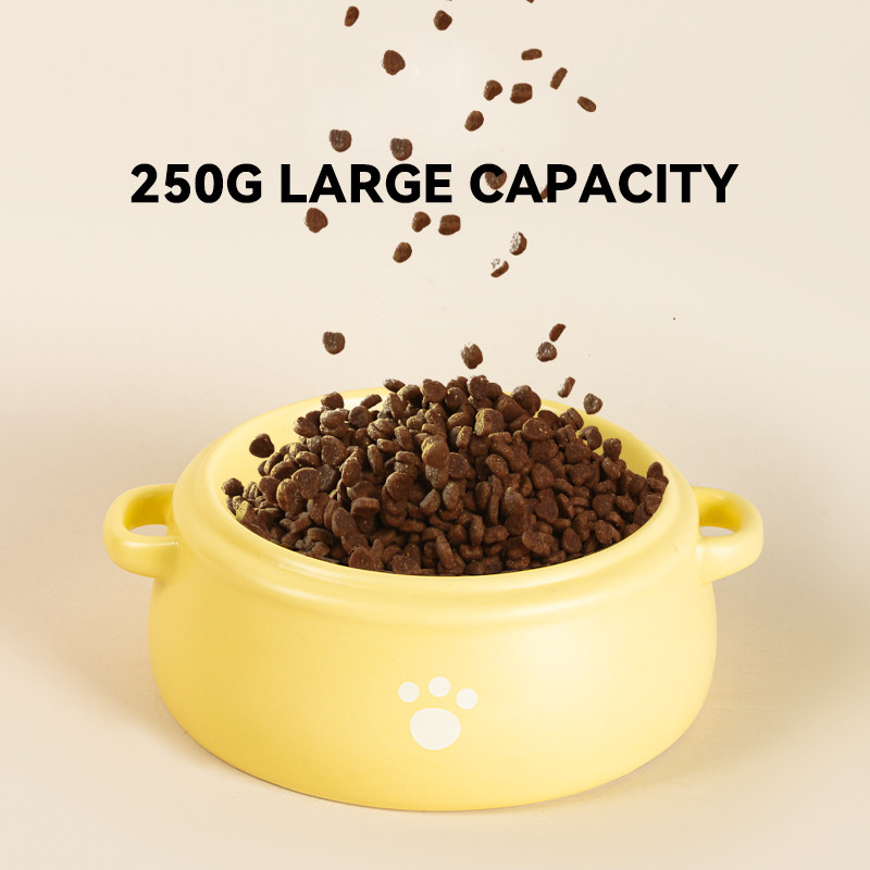 Kaķi Keramikas bļoda Matēta mājdzīvnieku barība Ūdens barotavas Kucēni Suņi Barošana Dzeršana Ēšana Izlietnes Bļodas