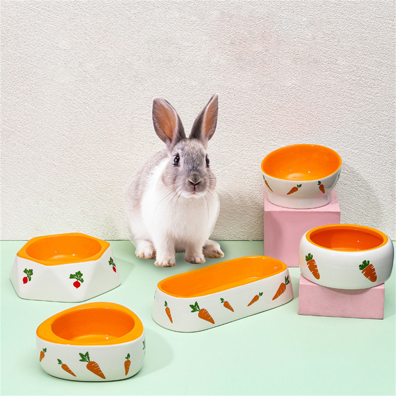 Kis kedvencek etetőtál macskaeledel vizes tál csincsilla mókus tengerimalac nyúl cicaetető Aranyos rajzfilm sárgarépa kerámia tál