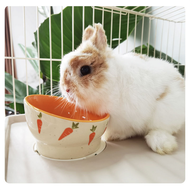 Kis kedvencek etetőtál macskaeledel vizes tál csincsilla mókus tengerimalac nyúl cicaetető Aranyos rajzfilm sárgarépa kerámia tál