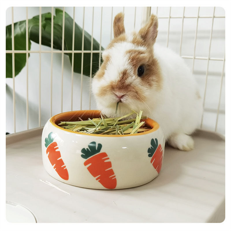 Kis kedvencek etetőtál macskaeledel vizes tál csincsilla mókus tengerimalac nyúl cicaetető Aranyos rajzfilm sárgarépa kerámia tál