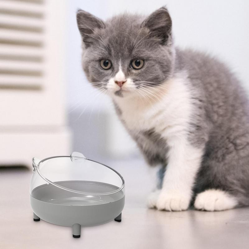 Noliekta, paaugstināta kaķa suņu bļoda Neslīdoša, pacelta nerūsējošā tērauda kaķu barības trauki Kakla kucēna kaķa barošanas piederumi