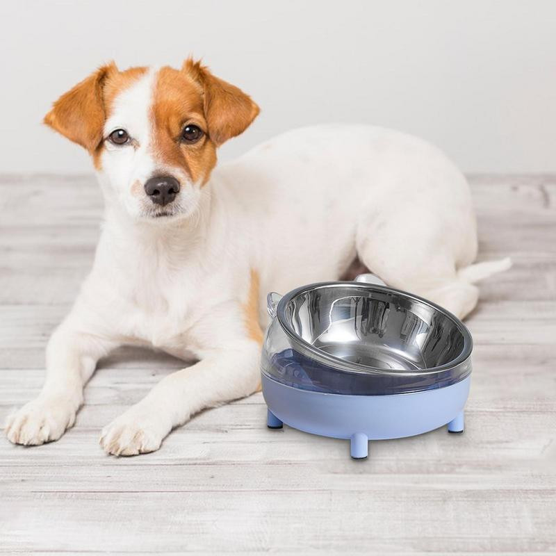 Noliekta, paaugstināta kaķa suņu bļoda Neslīdoša, pacelta nerūsējošā tērauda kaķu barības trauki Kakla kucēna kaķa barošanas piederumi