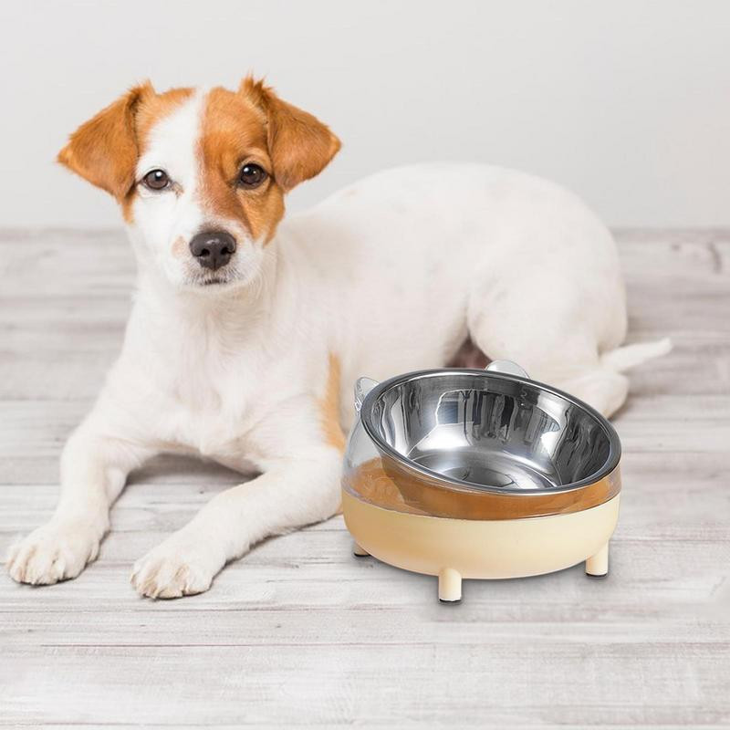 Noliekta, paaugstināta kaķa suņu bļoda Neslīdoša, pacelta nerūsējošā tērauda kaķu barības trauki Kakla kucēna kaķa barošanas piederumi