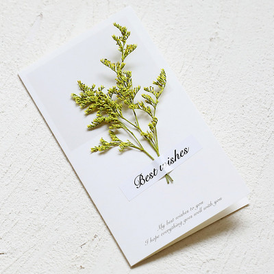 5/10 gab. Žāvēti ziedi Aploksne Apsveikuma kartiņas Kāzu ielūgumi Dzimšanas dienas ballīte Ar roku rakstītas pastkartes Dāvanu kartes Paldies kartītes