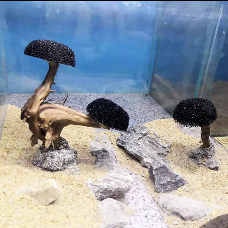 Akvaariumi akvaariumi tarvikud (samblata)