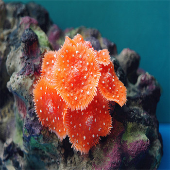 Τεχνητά αξεσουάρ ενυδρείου Διακοσμητικά από ρητίνη κοραλλιών για δεξαμενές ψαριών φόντου Διακόσμηση φυτών θάλασσας σιλικόνης Προμήθειες σπιτιών ψαριών