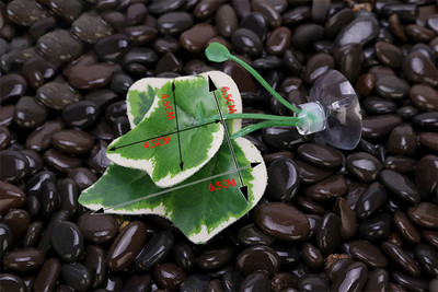 1gab. Zivju tvertņu mākslīgo lapu zivju atpūtas gultas dekors Akvārija dekorēšana Peldošās gultas Lapu šūpuļtīkls Cīņa Asaris Betta Spawning