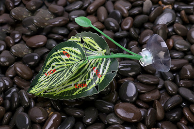 1gab. Zivju tvertņu mākslīgo lapu zivju atpūtas gultas dekors Akvārija dekorēšana Peldošās gultas Lapu šūpuļtīkls Cīņa Asaris Betta Spawning