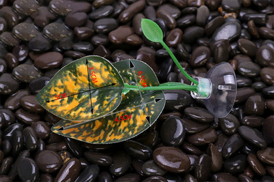 1gab. Zivju tvertņu mākslīgo lapu zivju atpūtas gultas dekors Akvārija dekorēšana Peldošās gultas Lapu šūpuļtīkls Cīņa Asaris Betta Spawning