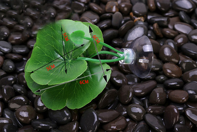 1gab. Zivju tvertņu mākslīgo lapu zivju atpūtas gultas dekors Akvārija dekorēšana Peldošās gultas Lapu šūpuļtīkls Cīņa Asaris Betta Spawning