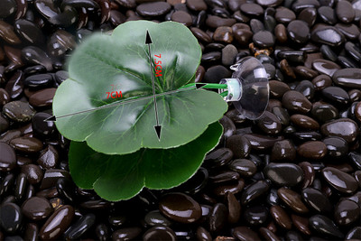 1gab. Zivju tvertņu mākslīgo lapu zivju atpūtas gultas dekors Akvārija dekorēšana Peldošās gultas Lapu šūpuļtīkls Cīņa Asaris Betta Spawning