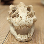 Rășină Acvariu Simulare Dinozaur Craniu Casa Peșteră Peisaj Rezervor Ornament Decorare