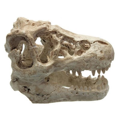 Rășină Acvariu Simulare Dinozaur Craniu Casa Peșteră Peisaj Rezervor Ornament Decorare