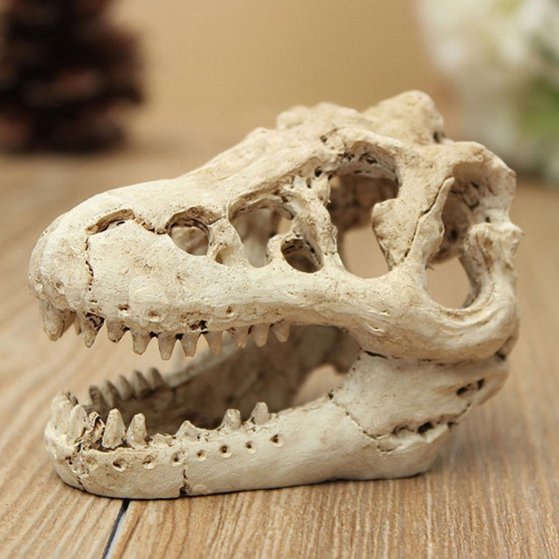 Rășină Acvariu Simulare Dinozaur Craniu Casa Peșteră Peisaj Rezervor Ornament Decorare