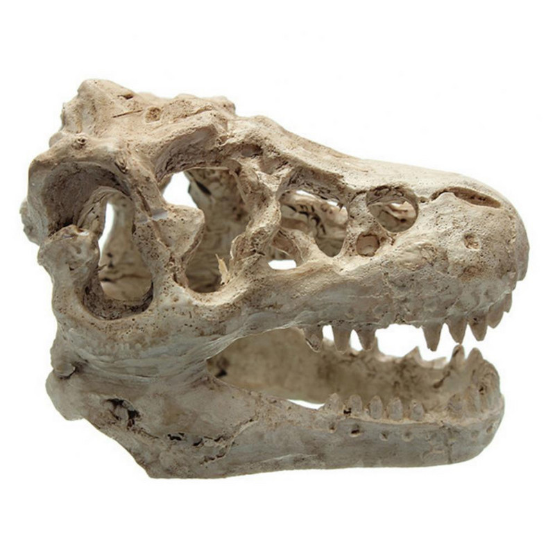 Rășină Acvariu Simulare Dinozaur Craniu Casa Peșteră Peisaj Rezervor Ornament Decorare