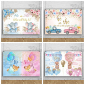 Lytis Atskleidžiamas berniuko ar mergaitės fonas Reklamjuostė Kūdikių dušo kabina Fotografija Fono reklamjuostės rekvizitų dekoras