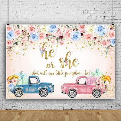 Lytis Atskleidžiamas berniuko ar mergaitės fonas Reklamjuostė Kūdikių dušo kabina Fotografija Fono reklamjuostės rekvizitų dekoras