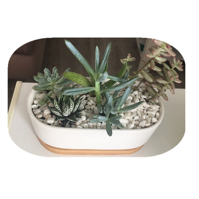 80 g dabīgs upes dekoratīvs akmens marmors sulīgs bonsai zivju tvertnē bez vāzes augu mājas dārza dekors balts F460