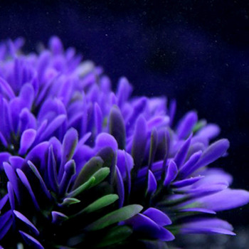 Фалшиво меко лилаво симулационно растение Fish Tank Вода Фалшиви растения Аксесоари за домашен аквариум Микро озеленяване Фонова декорация