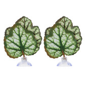 2 gab terārija stikla konteineri zivju tvertnes ainavu lapas akvārija lapas dzīvotnes izlietne, plastmasa